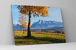 Obraz Jesenná príroda 1472